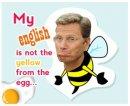 The Song The yellow from egg by Son of a Beach
