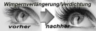 Wimpernverlängerung/Verdichtung